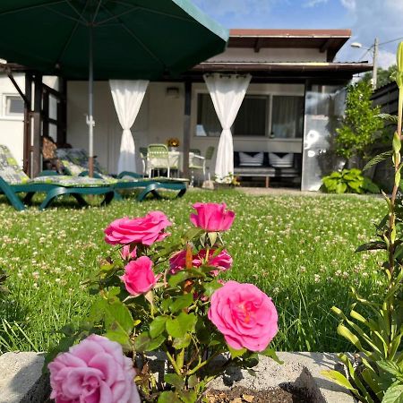 Săcele Charmante Petite Maison Transylvanieヴィラ エクステリア 写真