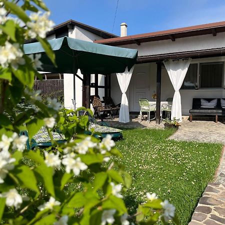 Săcele Charmante Petite Maison Transylvanieヴィラ エクステリア 写真