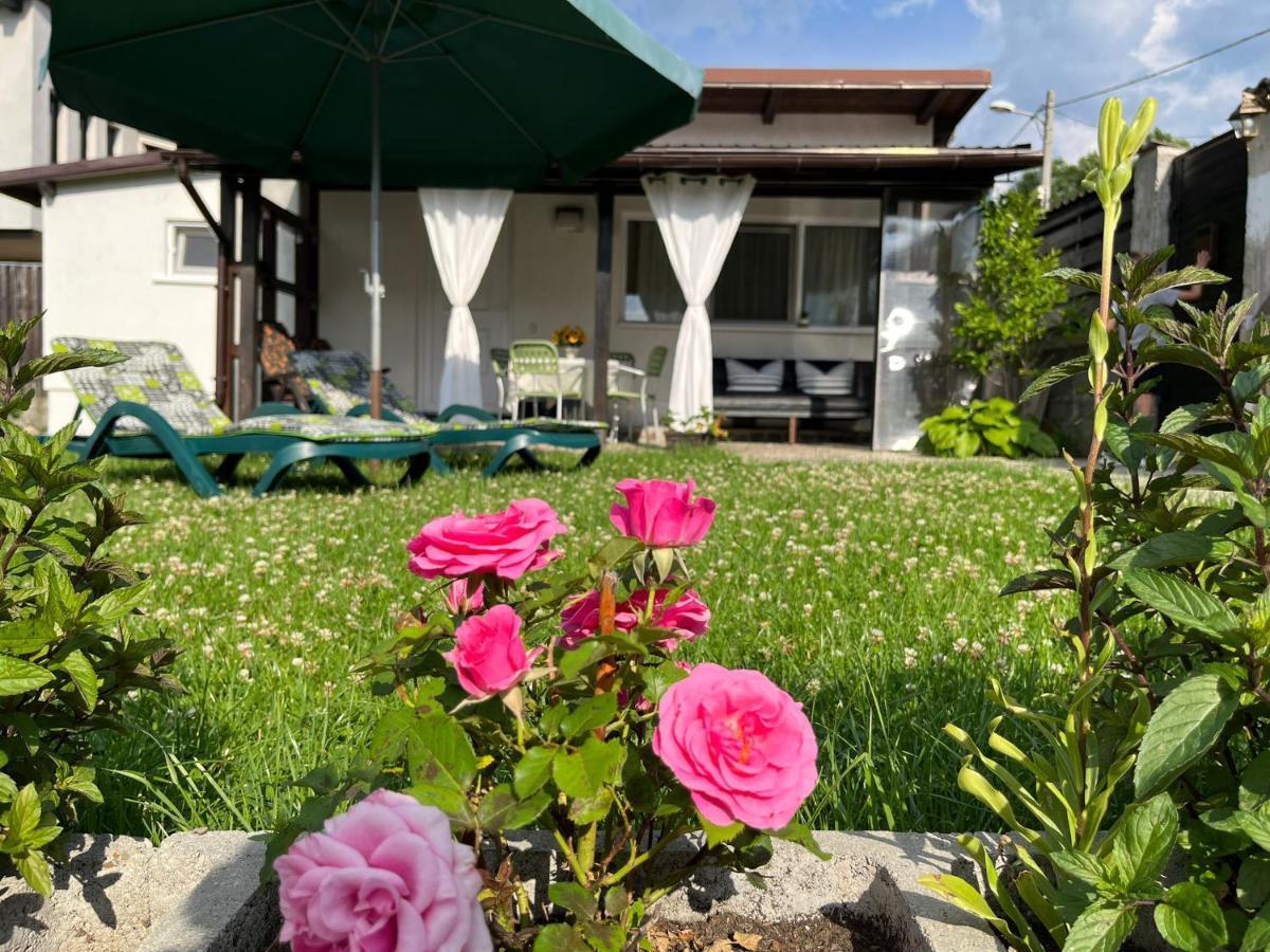 Săcele Charmante Petite Maison Transylvanieヴィラ エクステリア 写真