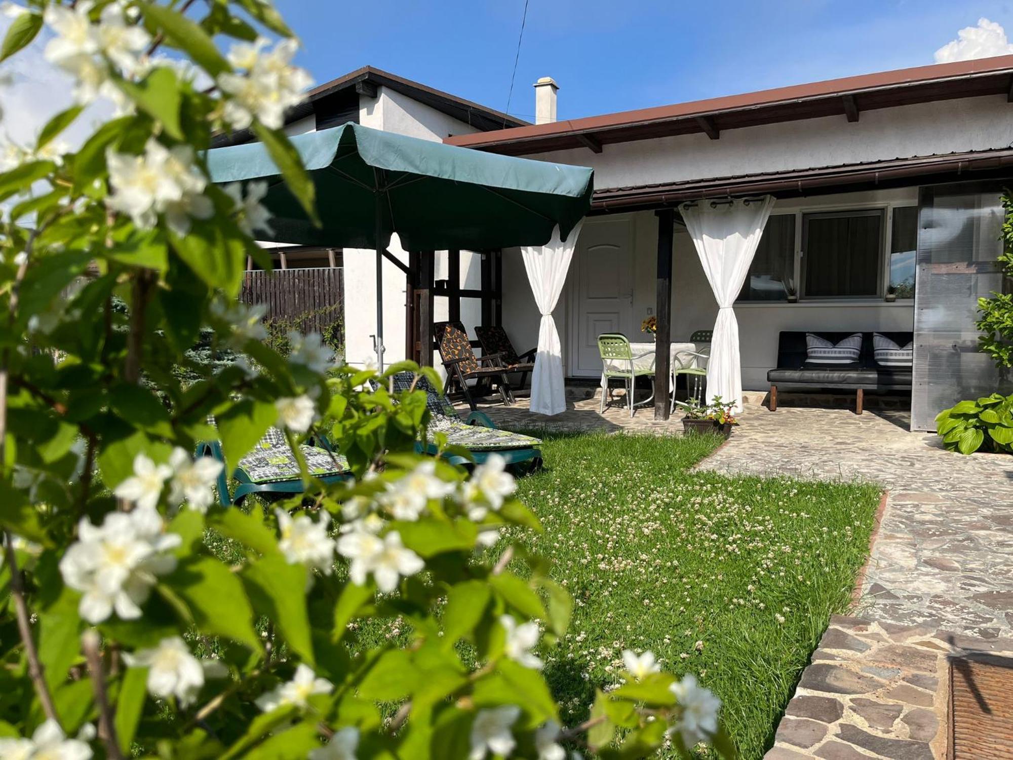 Săcele Charmante Petite Maison Transylvanieヴィラ エクステリア 写真