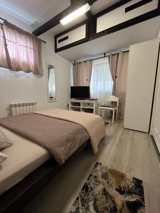 Săcele Charmante Petite Maison Transylvanieヴィラ エクステリア 写真