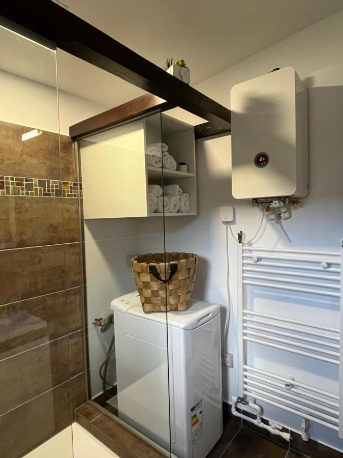 Săcele Charmante Petite Maison Transylvanieヴィラ エクステリア 写真
