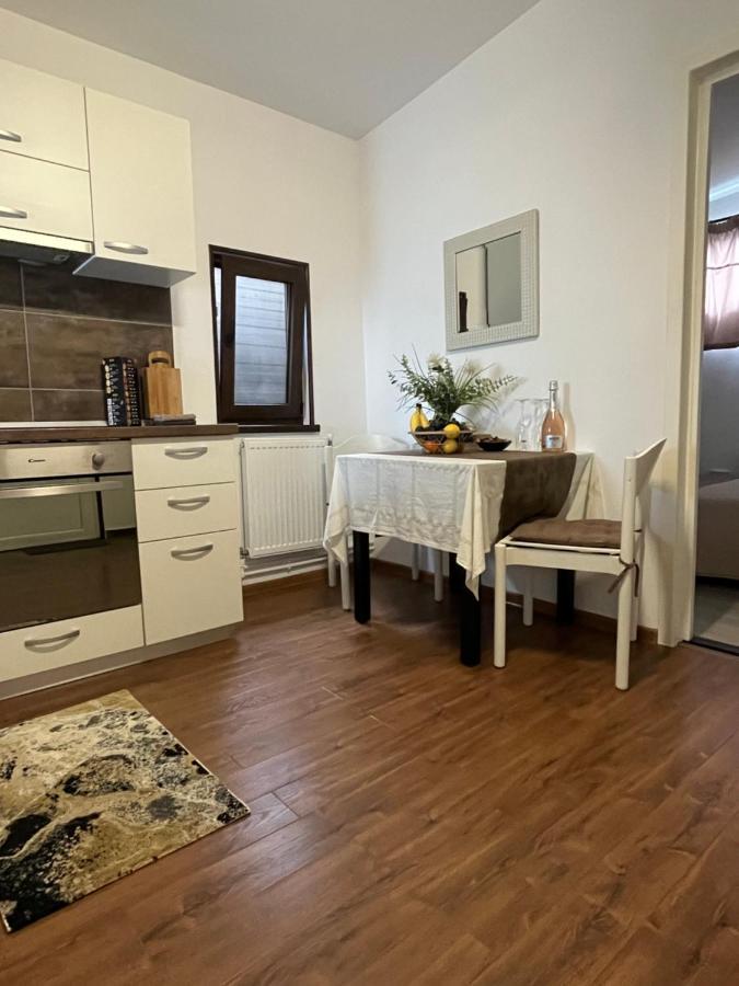 Săcele Charmante Petite Maison Transylvanieヴィラ エクステリア 写真