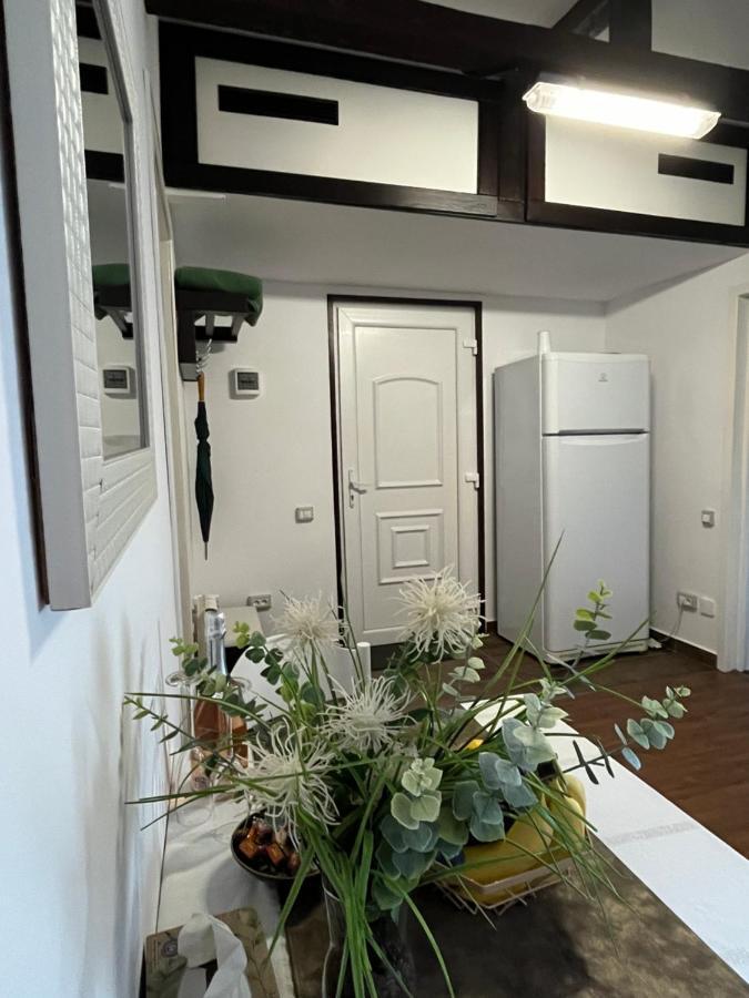 Săcele Charmante Petite Maison Transylvanieヴィラ エクステリア 写真