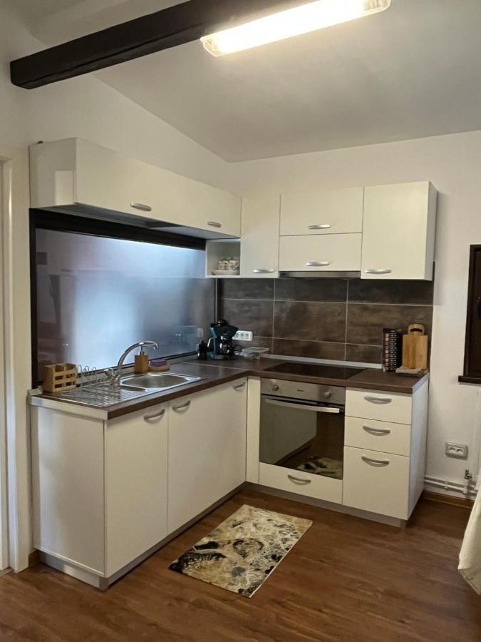 Săcele Charmante Petite Maison Transylvanieヴィラ エクステリア 写真