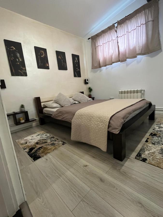 Săcele Charmante Petite Maison Transylvanieヴィラ エクステリア 写真